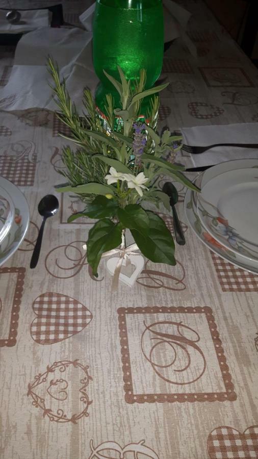 B&B Nuzzi Cassano delle Murge Buitenkant foto