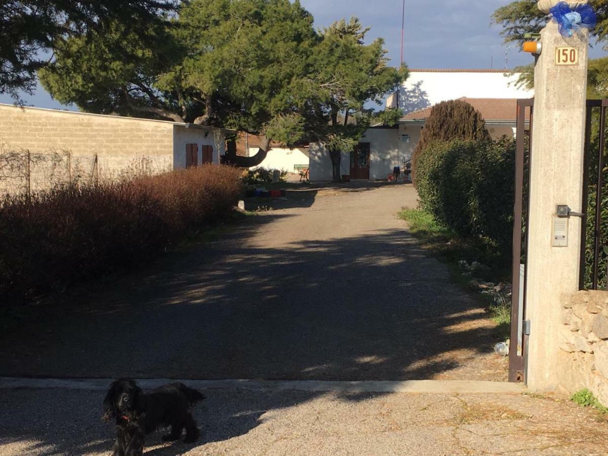 B&B Nuzzi Cassano delle Murge Buitenkant foto