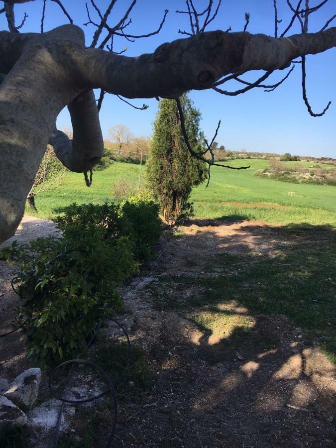 B&B Nuzzi Cassano delle Murge Buitenkant foto
